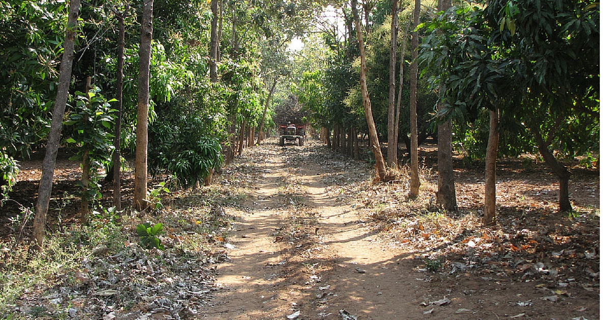 This Woman Forest Officer Covers a Dangerous 20,000 Sq Acre Beat — Alone and Unarmed