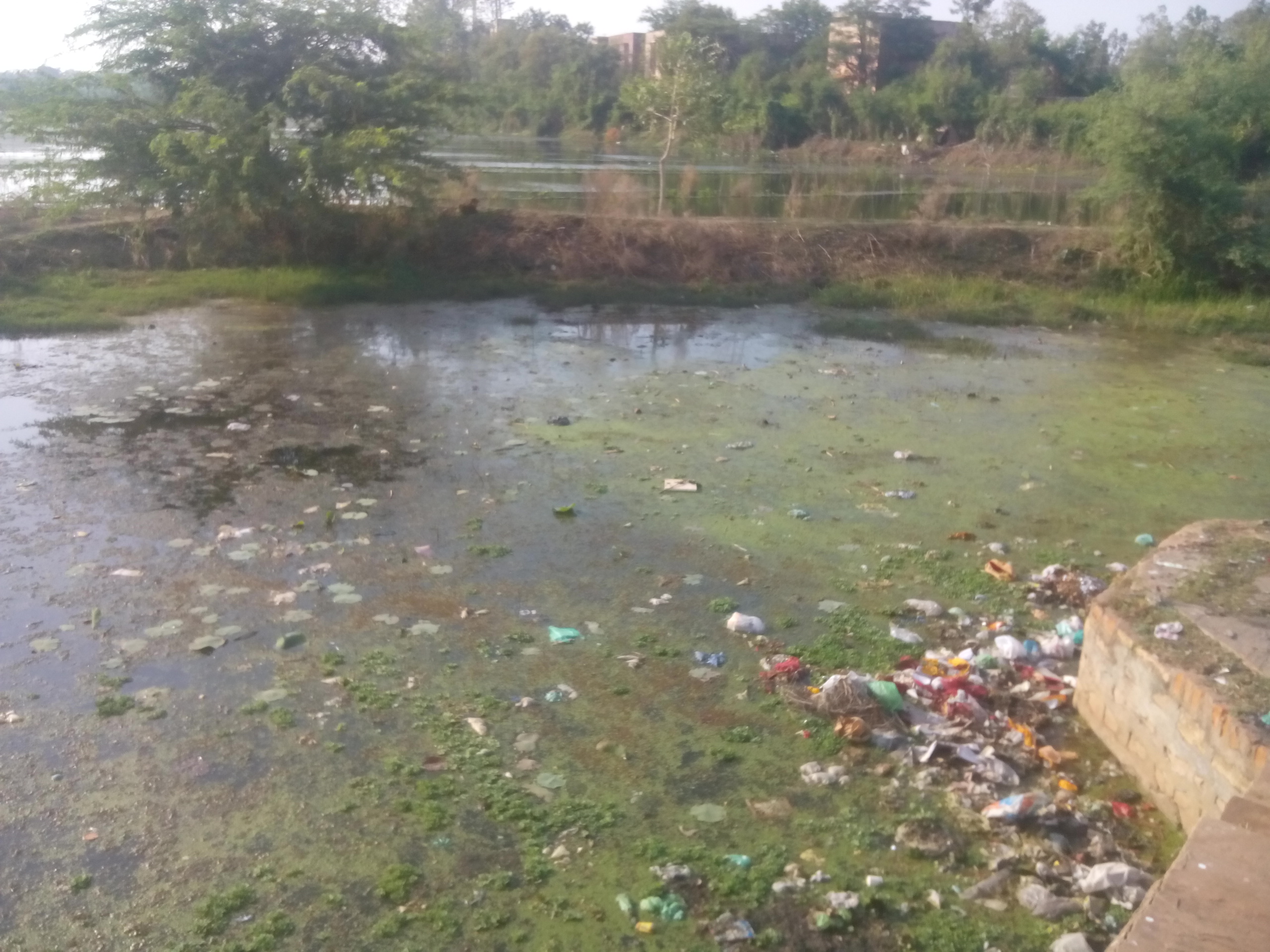 Another dilapidated lake in Shivpuri