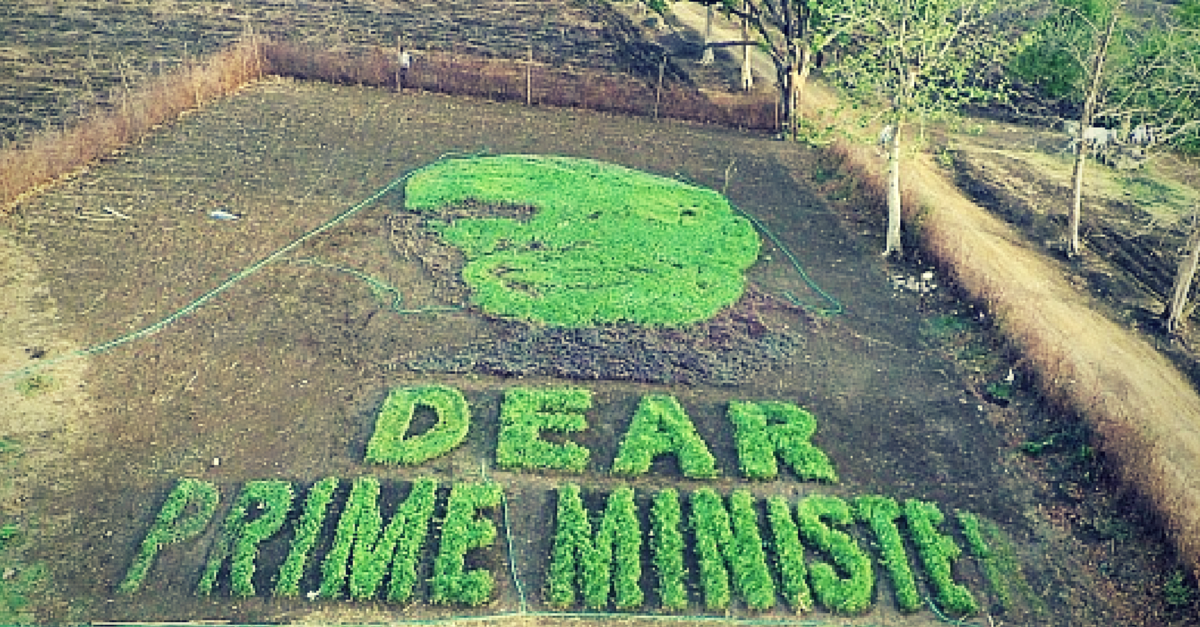 Why Are Farmers in Madhya Pradesh ‘Growing’ the Prime Minister’s Face in a Field?