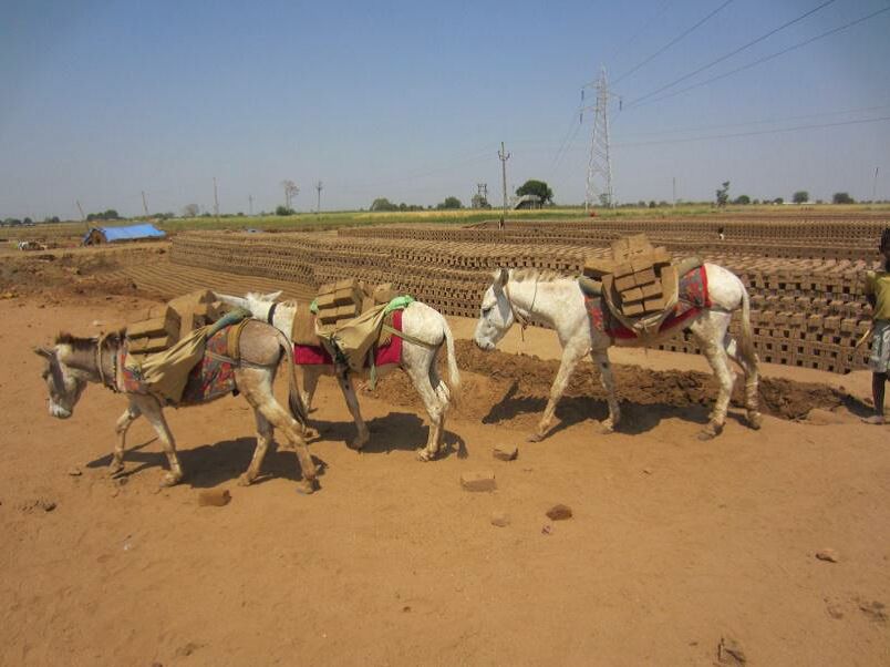 Beasts of Burden at work