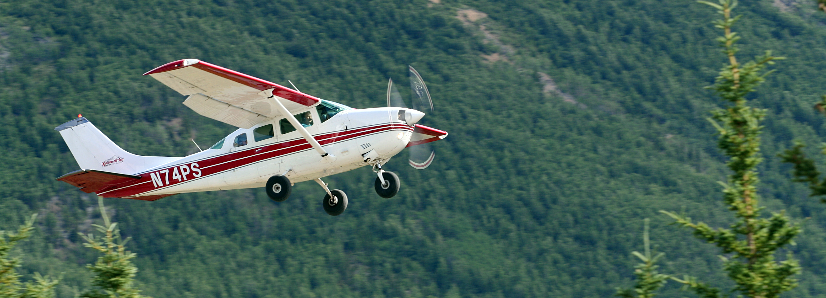 Plane,_Denali_National_Park