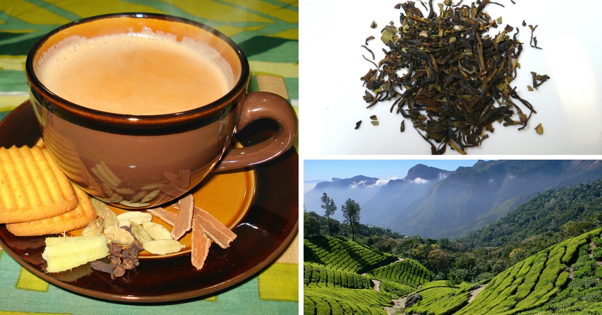 5 Popular Indian Teas With Great Health Benefits
