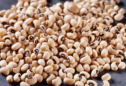 fibre beans