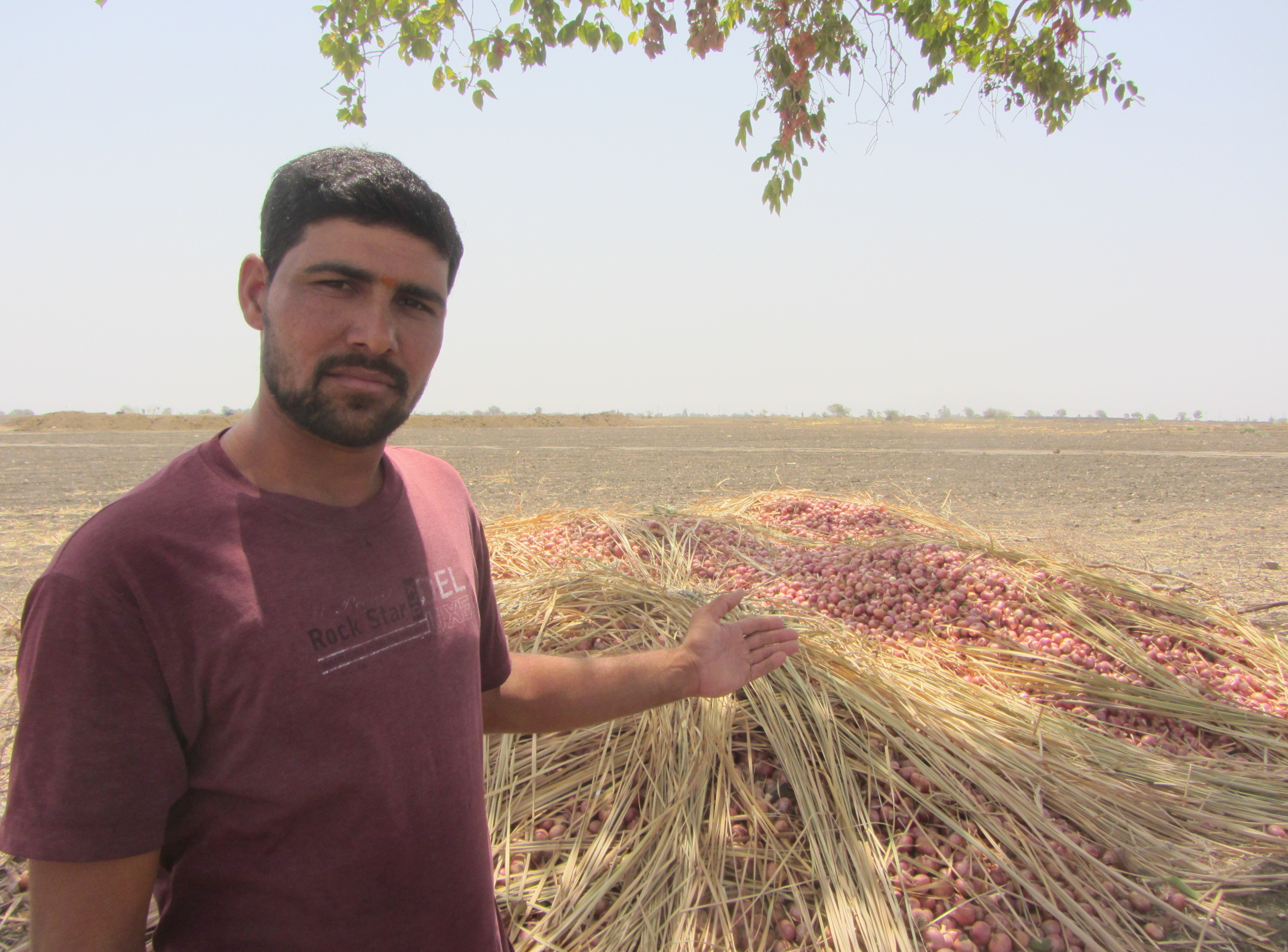 Confident of water availability, this youngest of the brothers went for two crops in winter – chana (chick pea) and onions (60 quintal in one bigha).