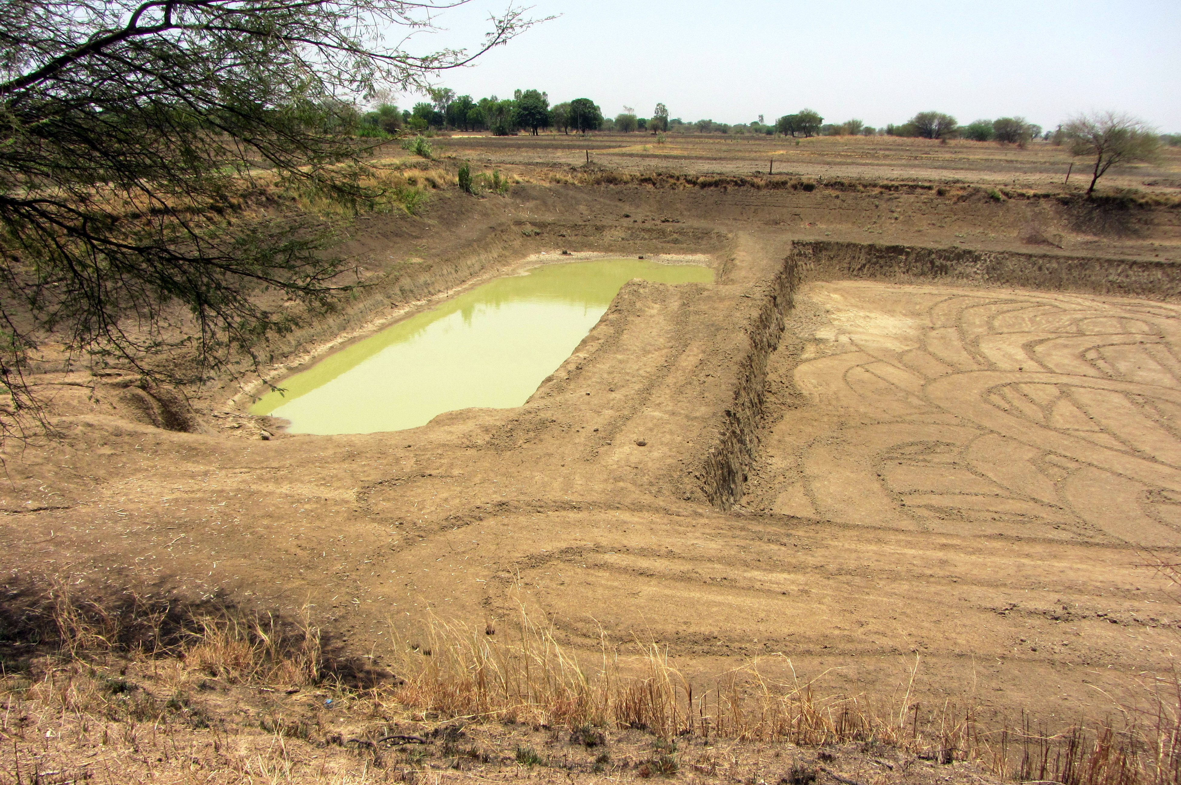 One of the large farm ponds in Tonk Khurd village still holding some water now neatly segregated from the portion being deepened.