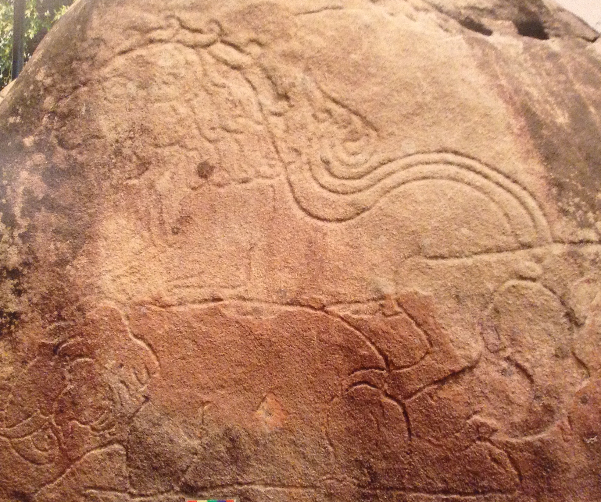Animals - the lion and the elephant, carved on rocks
