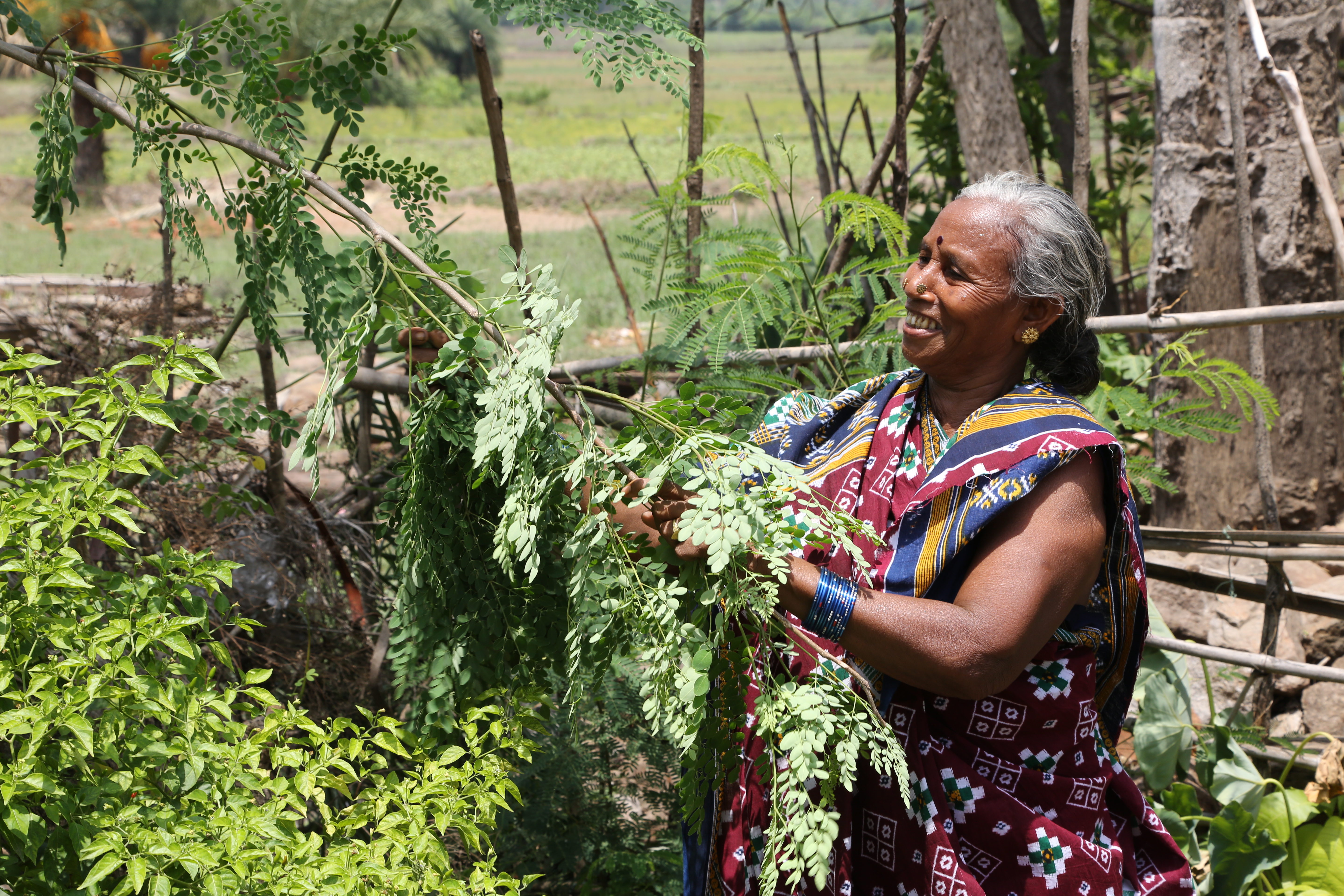 The rural women’s movement for political and economic identity as farmers and their right to land has played a significant role in dismantling structures of power and gender-based exclusion from ownership of land and its management.