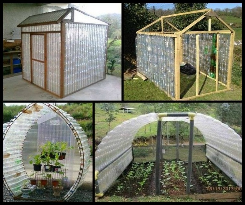 PETGreenhouse