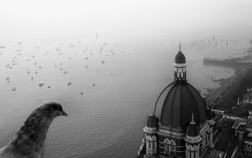 Taj-Birds-Eye-View.jpg-pg