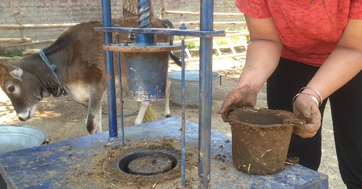 Organic Cow Dung Pots