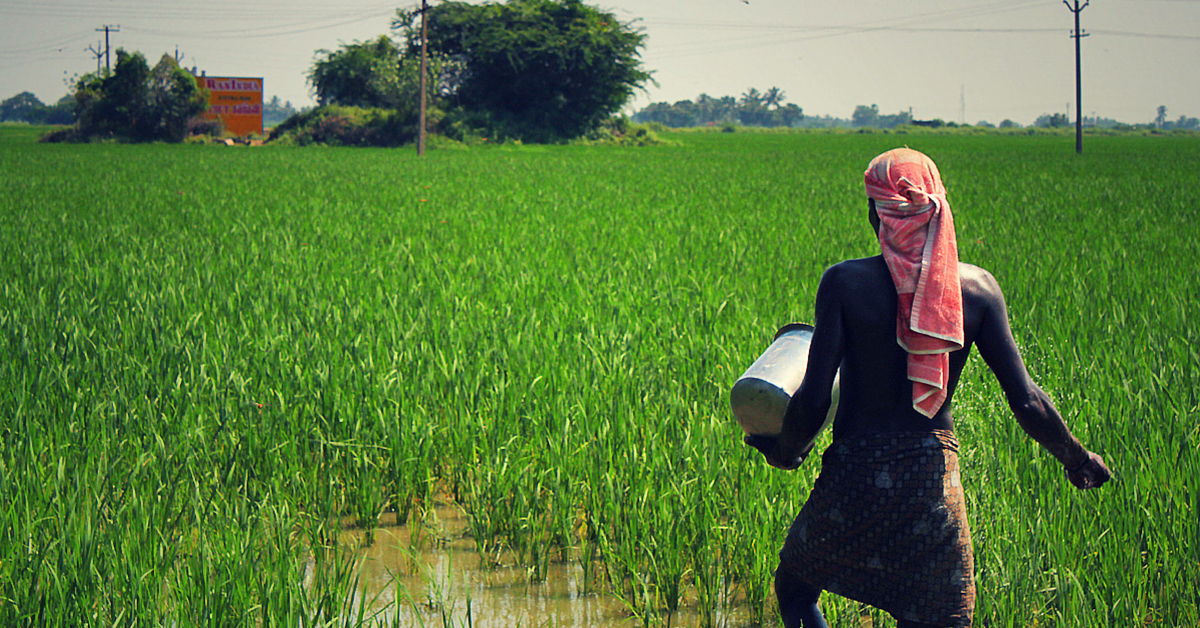 Indian-Origin Scientists Create Nanoparticle Fertiliser, Usher in New Age of Farming