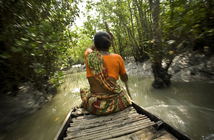 Hit Hard by Climate Change, Rural Women In Sundarbans Turn Photographers