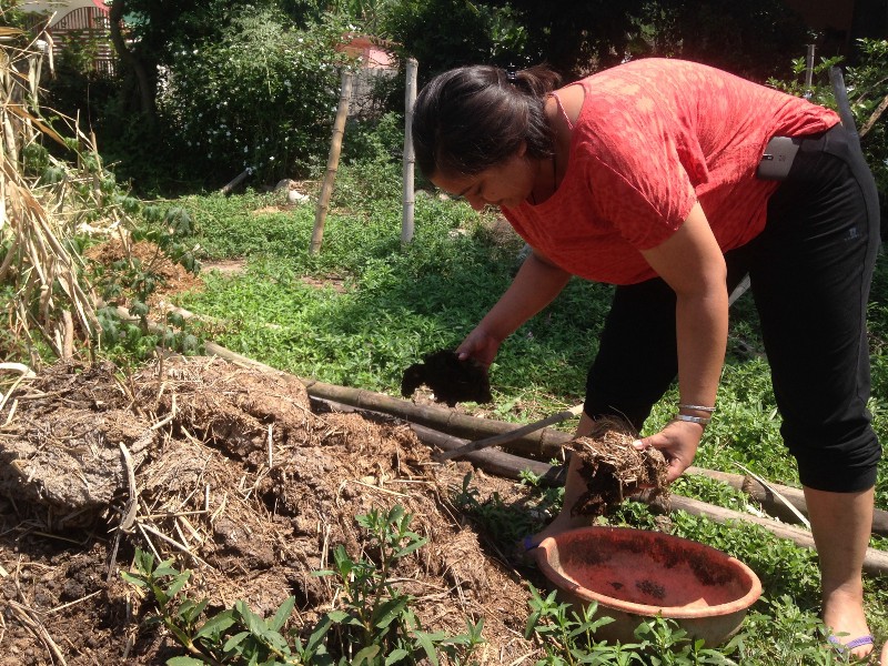 Collecting cow dung is the first step