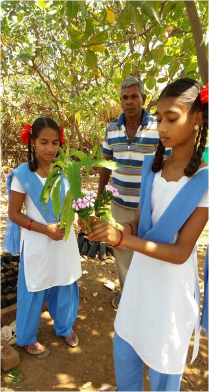 collecting samples for herbarium