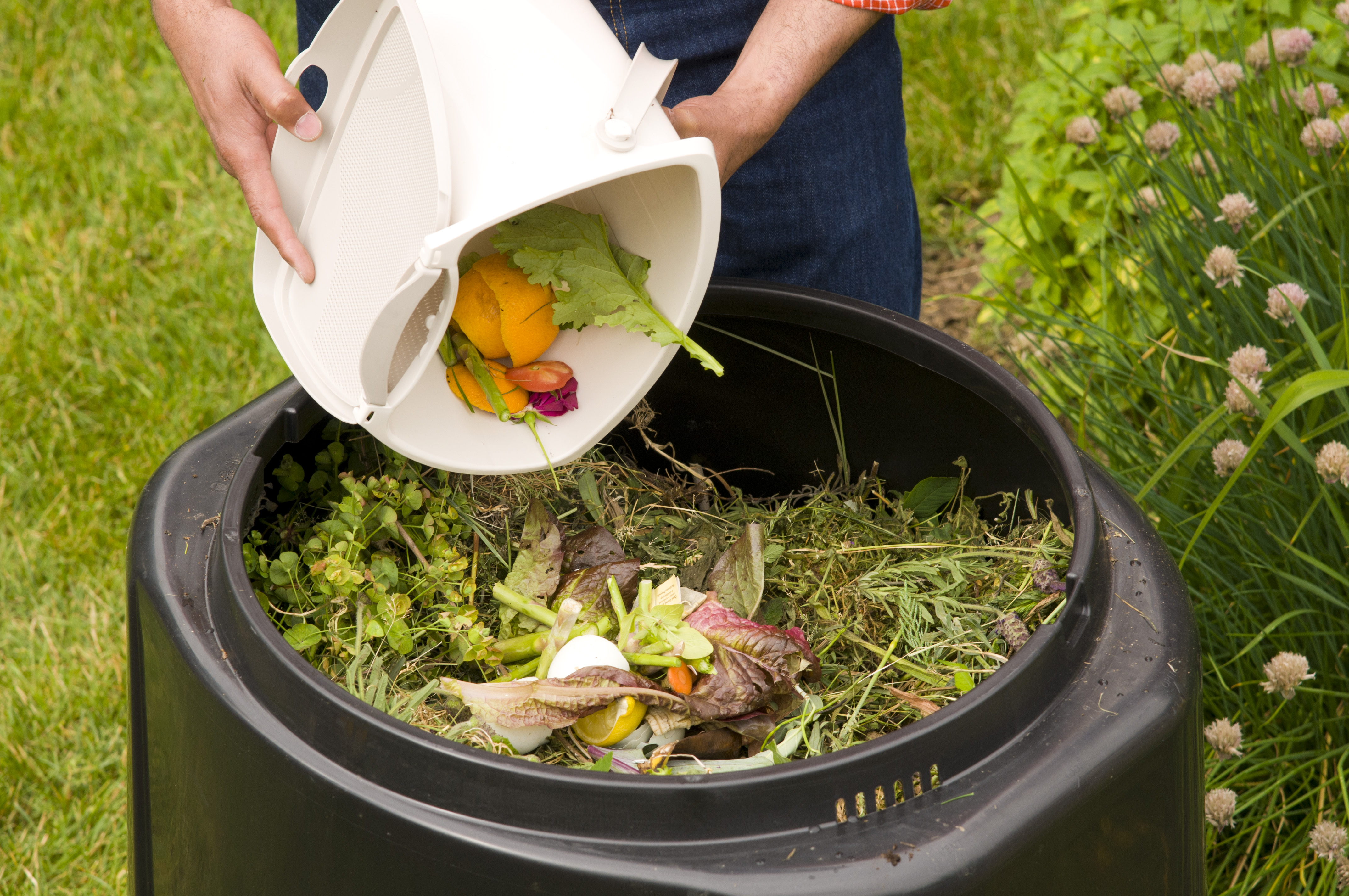 Waste Not, Want Not: 14 Ways You Can Reduce Food Waste at Home