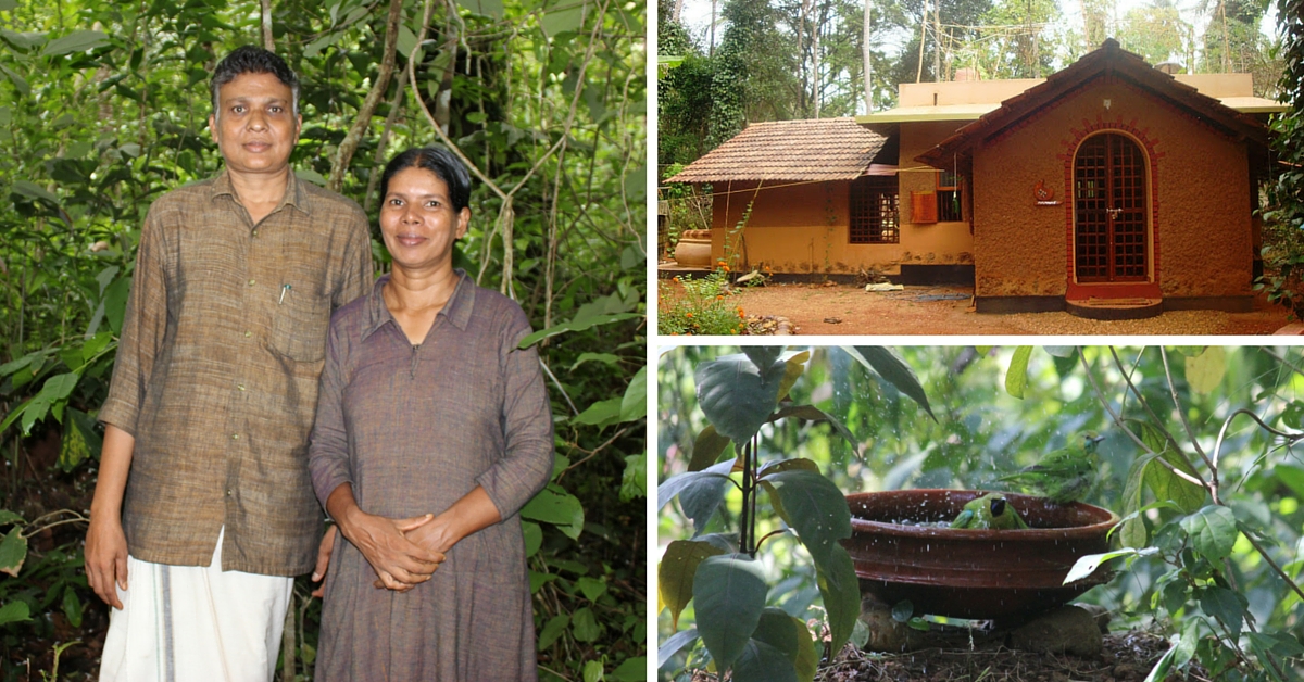 Lækker vurdere pensum Couple Creates Natural Forest and Energy Efficient Home