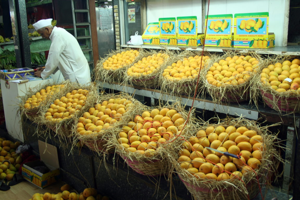 Food for Thought: Unpeeling the <b>Mango</b>’s Interesting History in India.