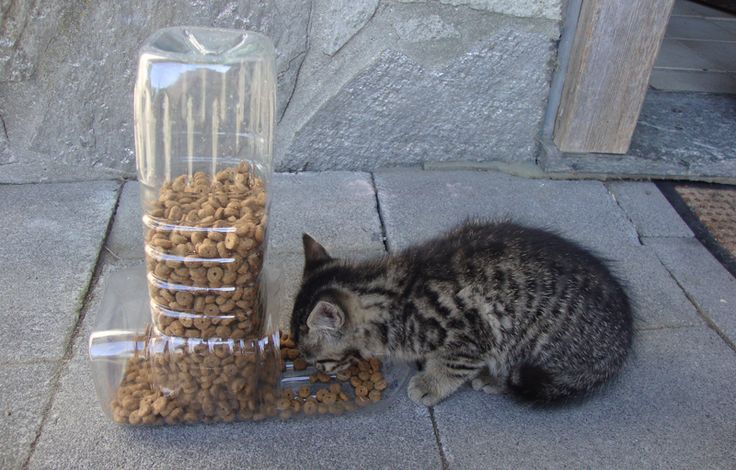 pet feeder