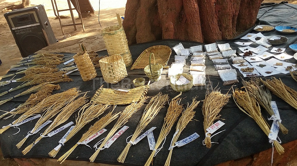 Indigenous crops, seeds and craft on display.