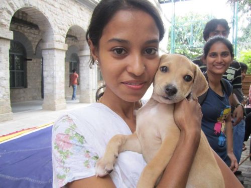 10 Women Going beyond to Support Animal Welfare in Bangalore