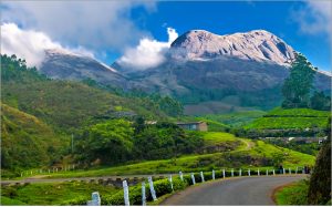 #TravelTales: A Visit to the World's Highest Organic Tea Estate Where Tea Is Still Made by Hand