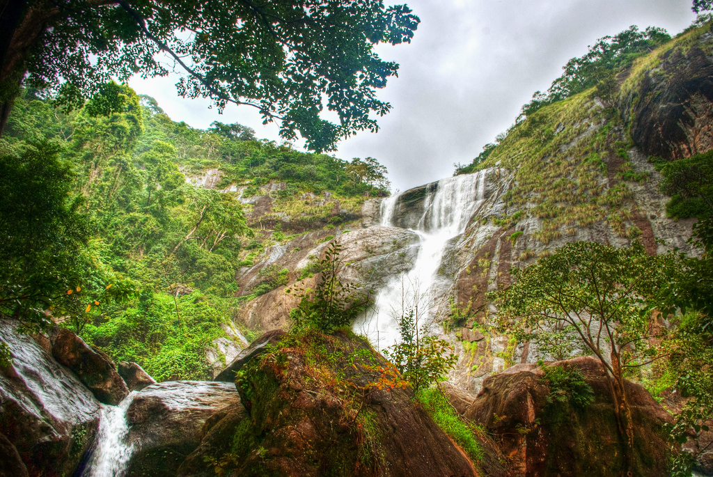 Palaruvi_Waterfall_Thenmala_14489