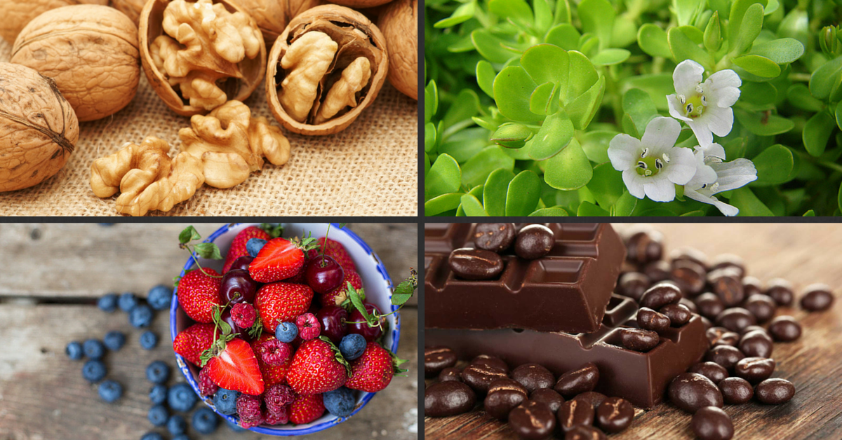 Eat for a Sharper Mind: The 15 Healthiest Brain Foods You Should Be Eating