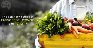 TBI Blogs: A Beginner's Guide to Choosing Fresh and Healthy Fruits & Vegetables