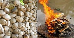 This Novel Initiative Will Haul Coconut Shells All the Way to Varanasi Pyres and Save Trees