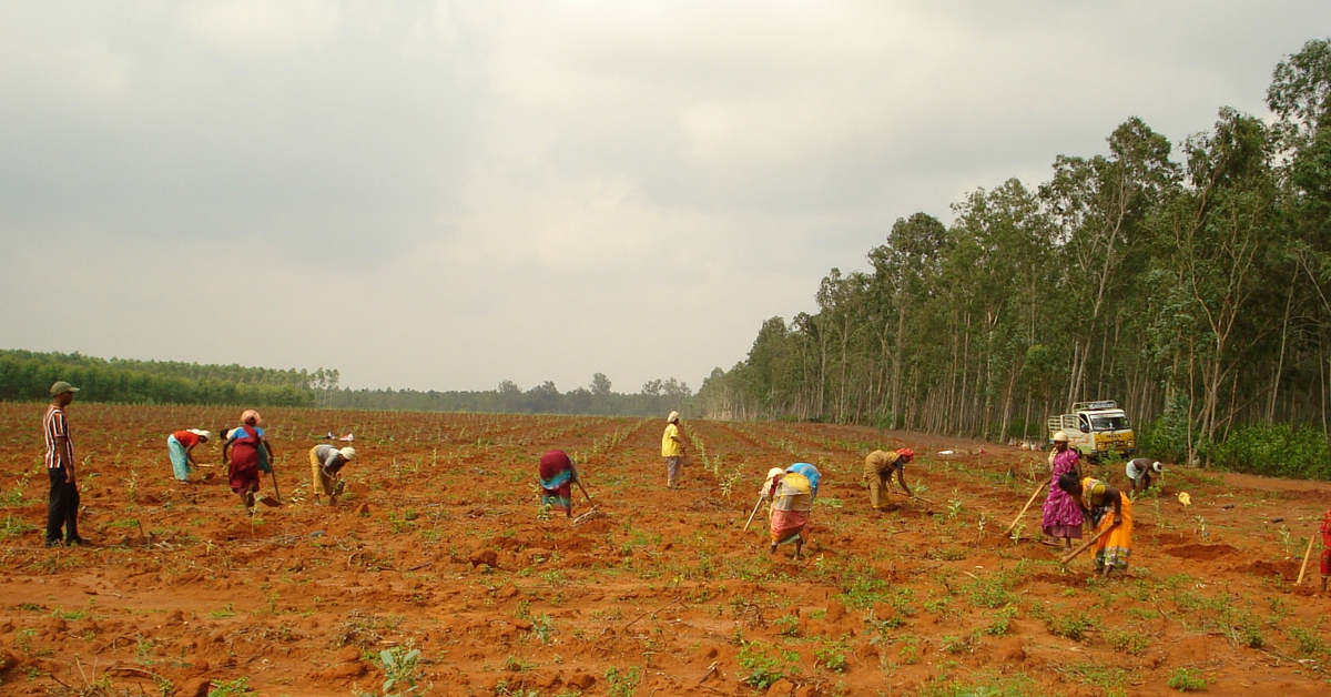 VIDEO: 120 Volunteers to Plant 2 Lakh Trees in Tamil Nadu