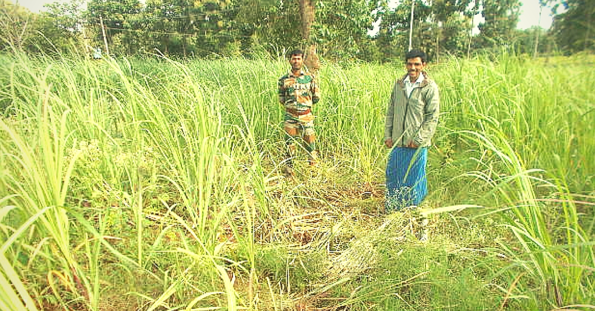 How a Toll Free Number Is Helping Villagers in Karnataka Co-Exist with Wild Animals Peacefully