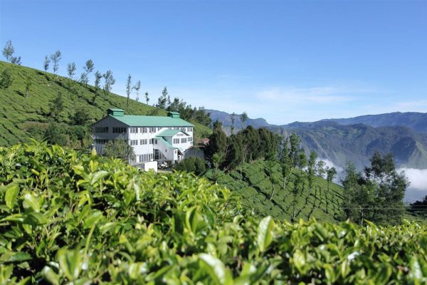 Kolukkumalai; World's Highest Organic Tea Estate