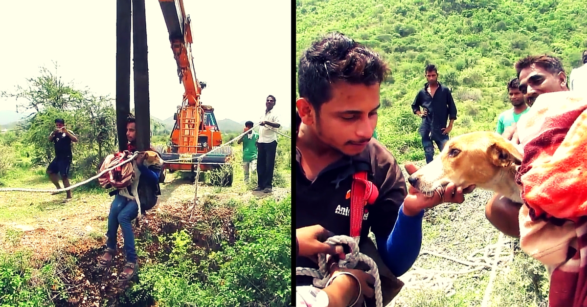 These Two Men Rescued a Stray Dog from a Deep Open Well in Which She Was Trapped for 5 Days