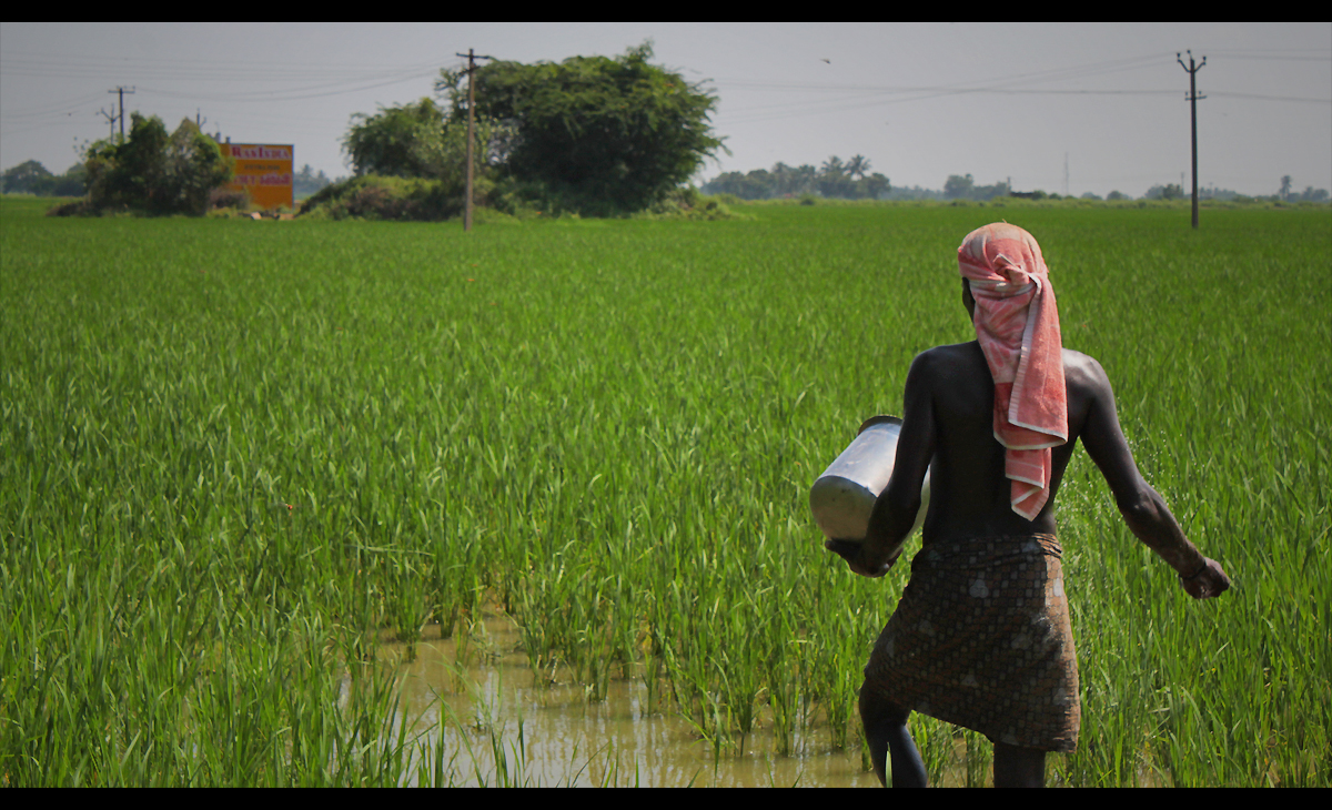 farmer