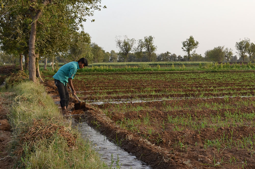 flood-irrigation-India-J-Hinsdale-photo