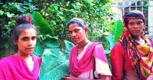 Jobs for Transgenders in Kochi Metro and Pensions for Those above 60 Years in Kerala