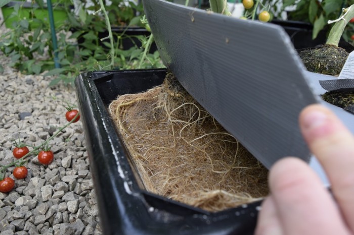 vivigrow_vegetable_planter_-_tomato_root_growth