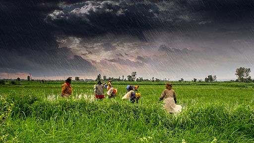 (1)_Agriculture_and_rural_farms_of_India