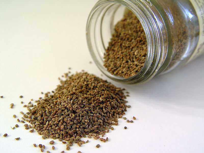 800px-Celery_seed