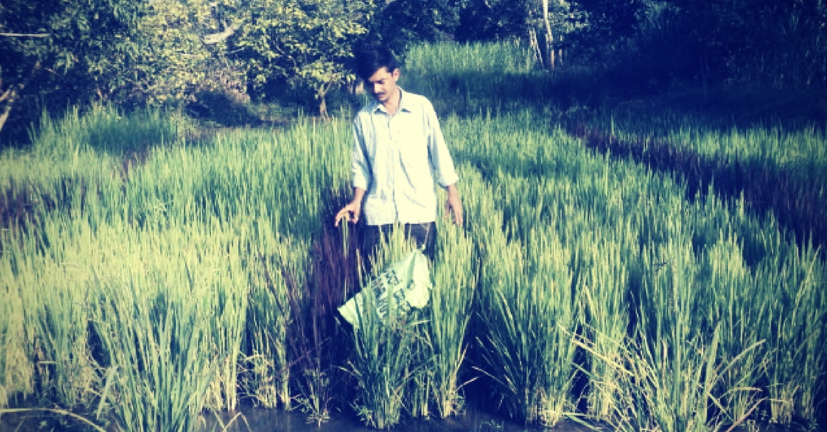 This Man Gave up City Life to Pursue Organic Farming & Preserve Indigenous Seeds in Mandya