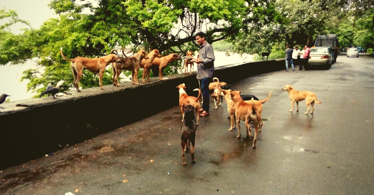 This Mumbai-Based NGO Is Treating 1,200 Strays to an Epic Birthday Bash and You’re Invited!