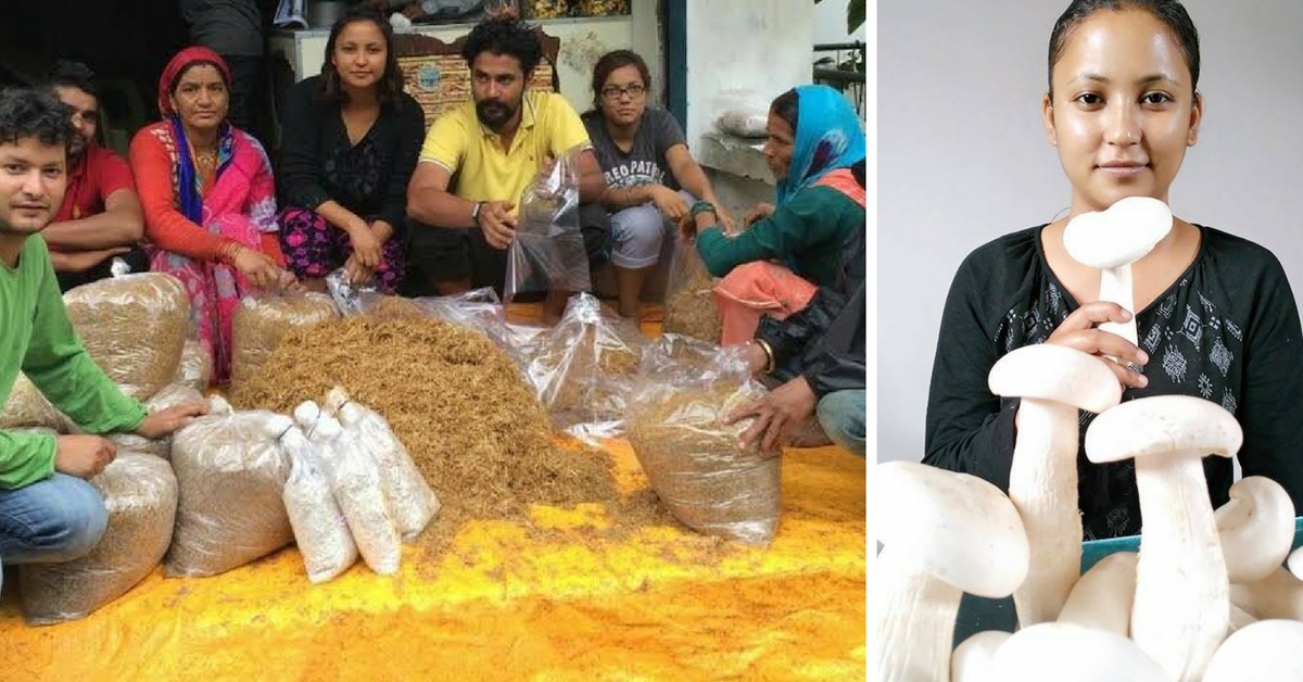 This 26-Year-Old Is Using Mushroom Cultivation to Bring Livelihood Opportunities to Uttarakhand