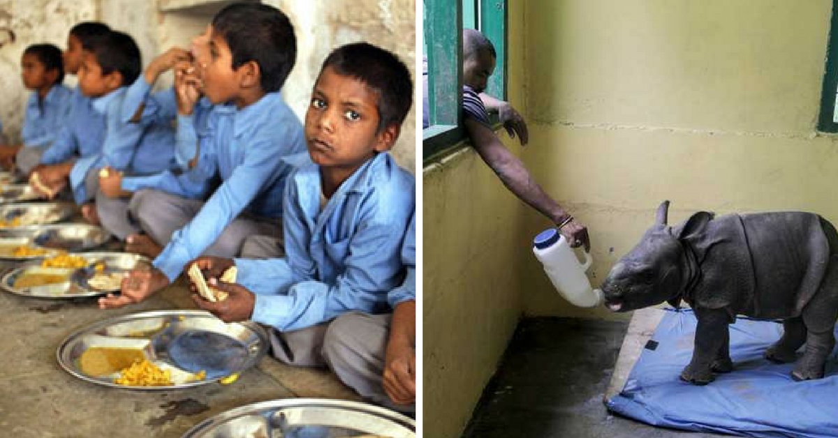 Primary Schoolkids in Assam Give Up Midday Meal to Buy Milk for Rescued Baby Rhinos