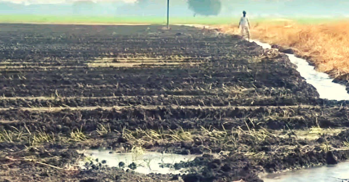 VIDEO: Drought-Hit Latur Gets Relief as Conservation Efforts Pay Off