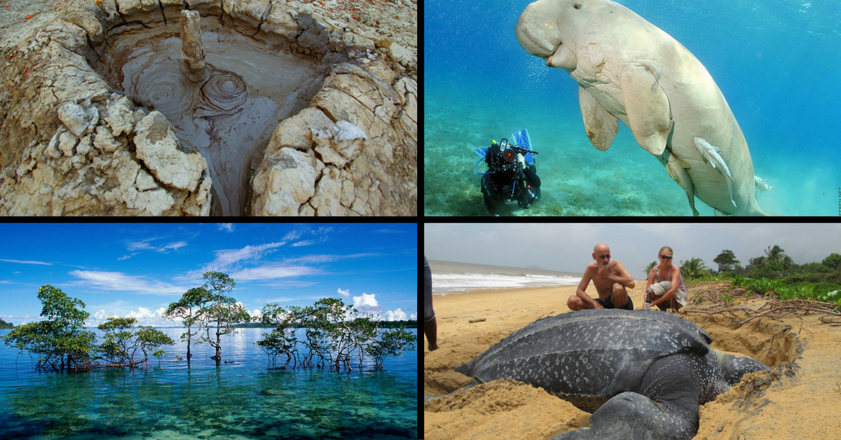 Interesting Facts About Andaman And Nicobar Islands