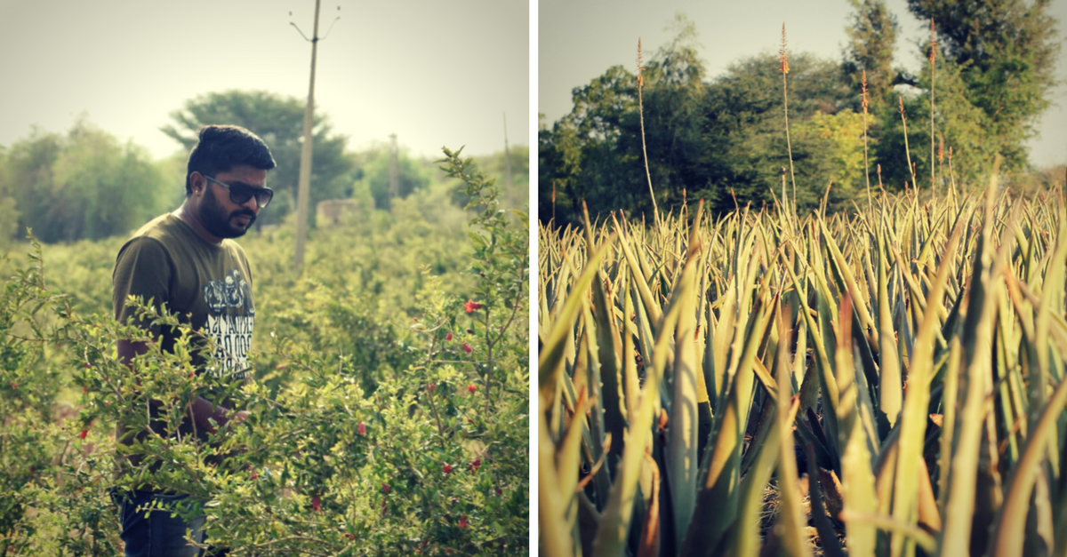 This Engineer Left His Government Job to Become a Farmer and Is Earning in Crores Now!