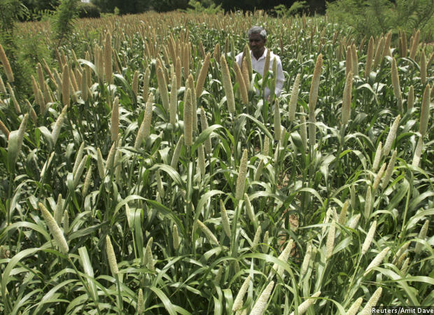 How Millets Can Alleviate India’s Malnutrition Problem and Mitigate Climate Change Too