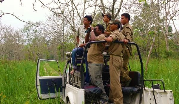 monitoring_elephant_population_inside_the_manas_whsnamita_brahma