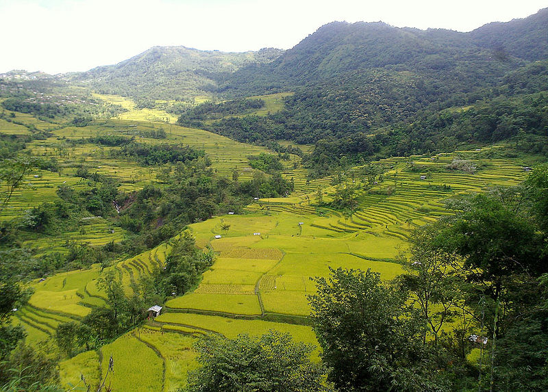 pfutsero-glory-peak-phek-nagaland