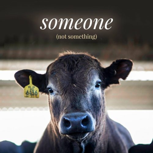 someone-not-something2